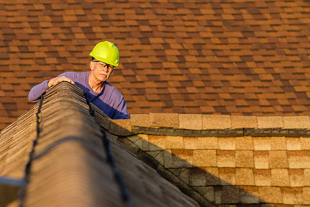 Best Commercial Roofing Services  in Dandridge, TN